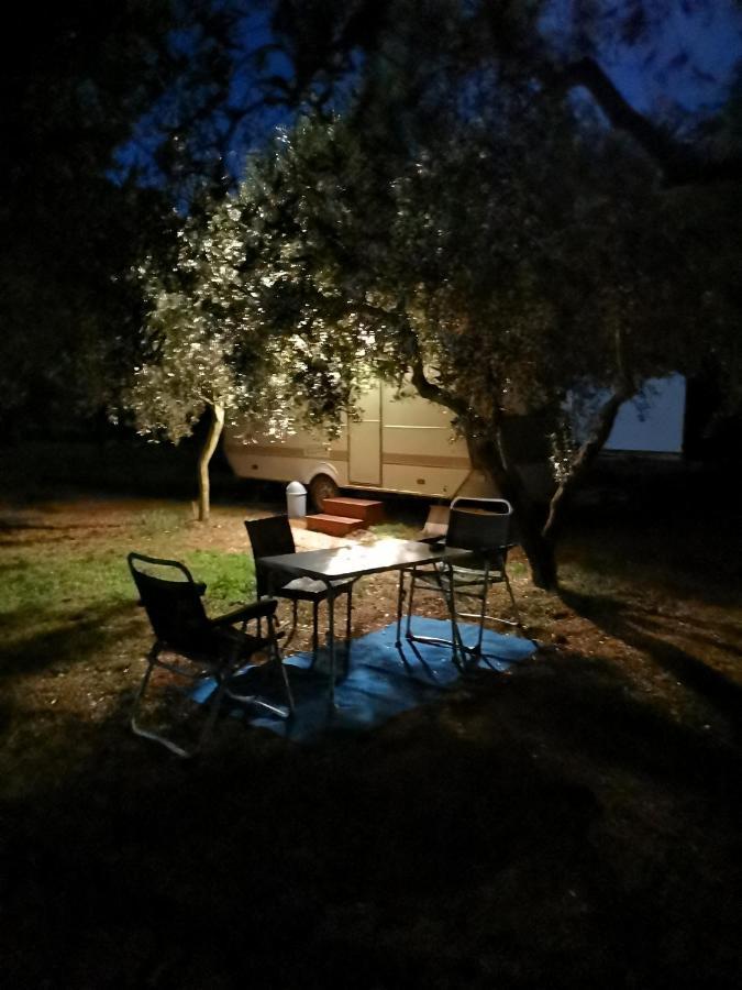 Umna & Room Pula Værelse billede